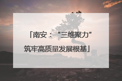 南安：“三维聚力”筑牢高质量发展根基