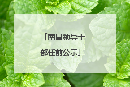 南昌领导干部任前公示