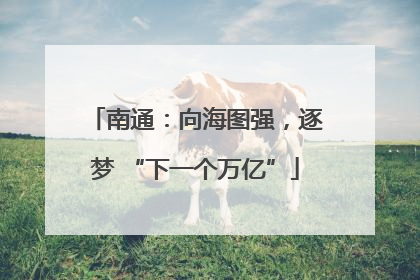 南通：向海图强，逐梦 “下一个万亿”