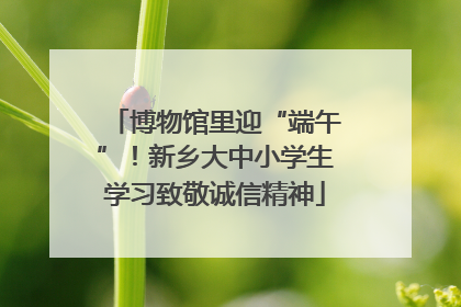 博物馆里迎“端午”！新乡大中小学生学习致敬诚信精神