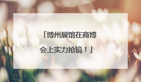 博州展馆在商博会上实力抢镜！