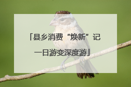 县乡消费“焕新”记 一日游变深度游
