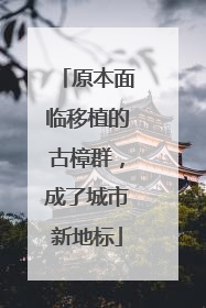 原本面临移植的古樟群，成了城市新地标