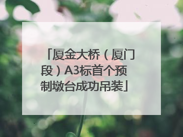 厦金大桥（厦门段）A3标首个预制墩台成功吊装