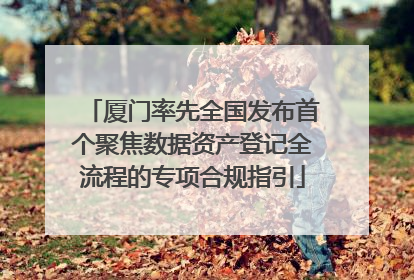厦门率先全国发布首个聚焦数据资产登记全流程的专项合规指引