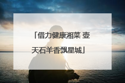 借力健康湘菜 壶天石羊香飘星城
