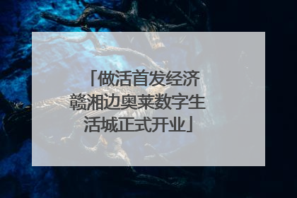做活首发经济 赣湘边奥莱数字生活城正式开业