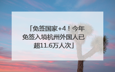 免签国家+4！今年免签入境杭州外国人已超11.6万人次