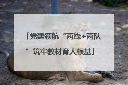 党建领航“两线+两队”筑牢教材育人根基