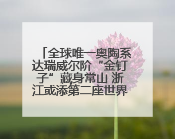 全球唯一奥陶系达瑞威尔阶“金钉子”藏身常山 浙江或添第二座世界地质公园
