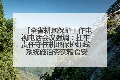 全省耕地保护工作电视电话会议强调：扛牢责任守住耕地保护红线 系统施治夯实粮食安全根基 王宁作出批示 王予波出席并讲话