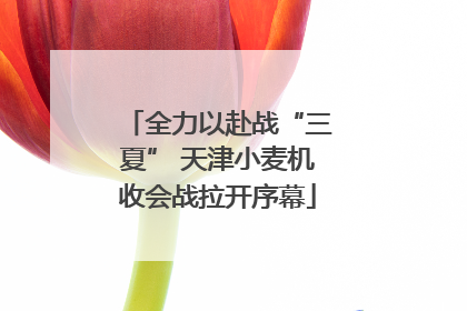 全力以赴战“三夏” 天津小麦机收会战拉开序幕