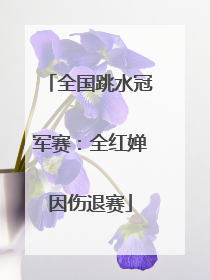 全国跳水冠军赛：全红婵因伤退赛
