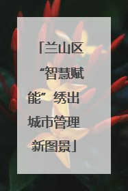 兰山区“智慧赋能”绣出城市管理新图景