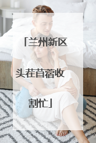 兰州新区头茬苜蓿收割忙