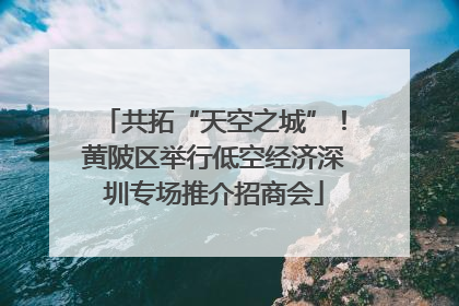 共拓“天空之城”！黄陂区举行低空经济深圳专场推介招商会