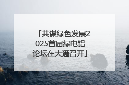 共谋绿色发展2025首届绿电铝论坛在大通召开