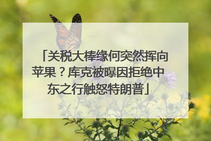 关税大棒缘何突然挥向苹果？库克被曝因拒绝中东之行触怒特朗普