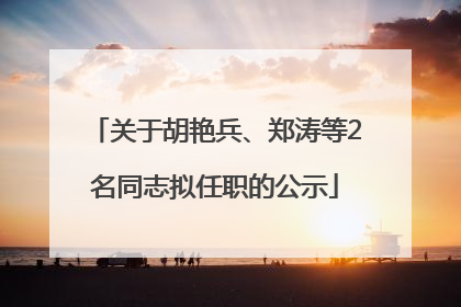 关于胡艳兵、郑涛等2名同志拟任职的公示