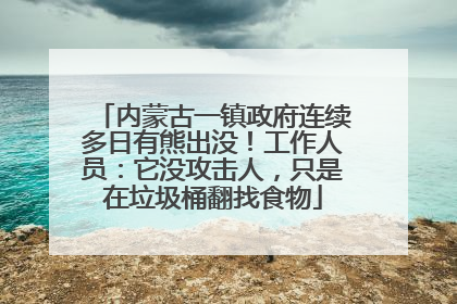 内蒙古一镇政府连续多日有熊出没！工作人员：它没攻击人，只是在垃圾桶翻找食物