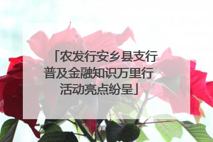 农发行安乡县支行普及金融知识万里行活动亮点纷呈