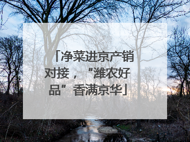 净菜进京产销对接，“潍农好品”香满京华