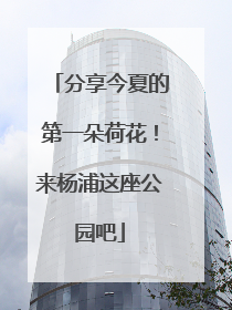 分享今夏的第一朵荷花！来杨浦这座公园吧