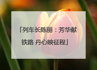 列车长陈丽：芳华献铁路 丹心映征程
