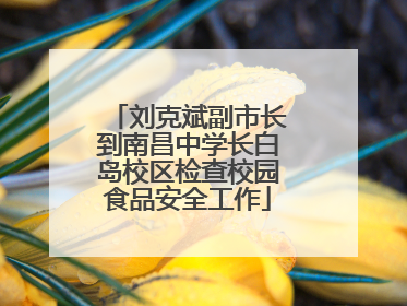 刘克斌副市长到南昌中学长白岛校区检查校园食品安全工作