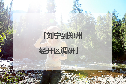 刘宁到郑州经开区调研