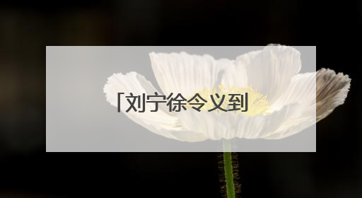 刘宁徐令义到洛阳市调研