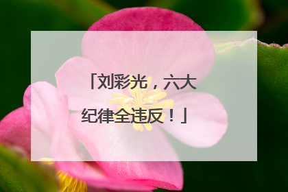 刘彩光，六大纪律全违反！