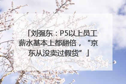 刘强东：P5以上员工薪水基本上都翻倍，“京东从没卖过假货”