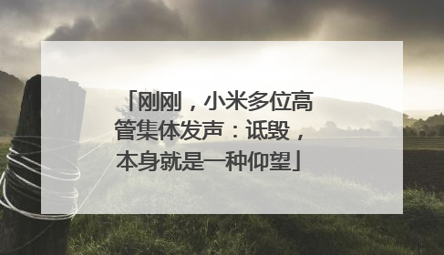刚刚，小米多位高管集体发声：诋毁，本身就是一种仰望