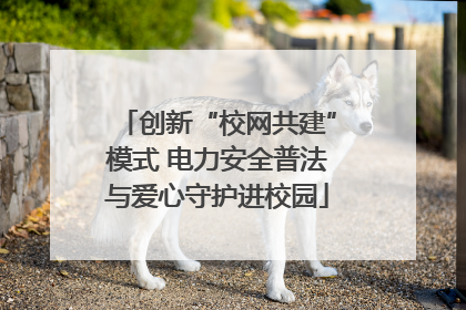 创新“校网共建”模式 电力安全普法与爱心守护进校园