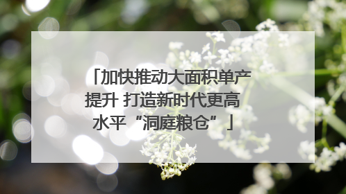 加快推动大面积单产提升 打造新时代更高水平“洞庭粮仓”