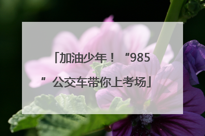 加油少年！“985”公交车带你上考场