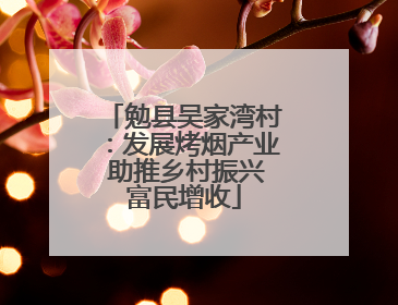 勉县吴家湾村：发展烤烟产业 助推乡村振兴富民增收