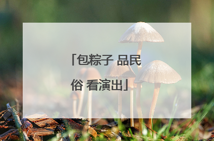 包粽子 品民俗 看演出