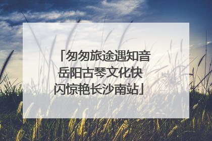 匆匆旅途遇知音 岳阳古琴文化快闪惊艳长沙南站