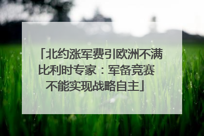 北约涨军费引欧洲不满 比利时专家：军备竞赛不能实现战略自主