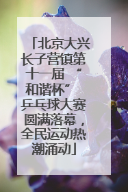 北京大兴长子营镇第十一届 “和谐杯” 乒乓球大赛圆满落幕，全民运动热潮涌动