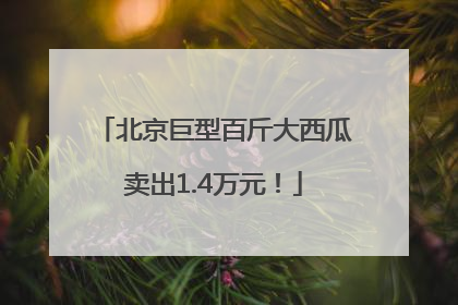 北京巨型百斤大西瓜卖出1.4万元！