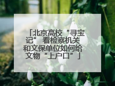 北京高校“寻宝记” 看检察机关和文保单位如何给文物“上户口”