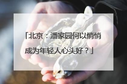 北京：潘家园何以悄悄成为年轻人心头好？