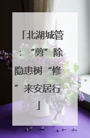 北湖城管：“剪”除隐患树“修”来安居行