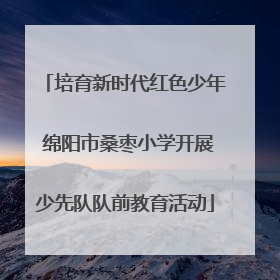 培育新时代红色少年 绵阳市桑枣小学开展少先队队前教育活动
