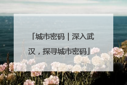 城市密码｜深入武汉，探寻城市密码