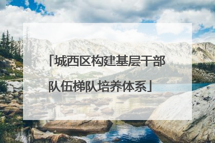 城西区构建基层干部队伍梯队培养体系