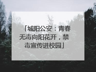 城阳公安：青春无毒向阳花开，禁毒宣传进校园
